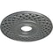 Ekena Millwork Robin Ceiling Medallion (Fits Canopies up to 6 1/4"), 22 1/4"OD x 4 3/4"ID x 1 1/4"P, Platinum CM22RBPLS - alternate 2